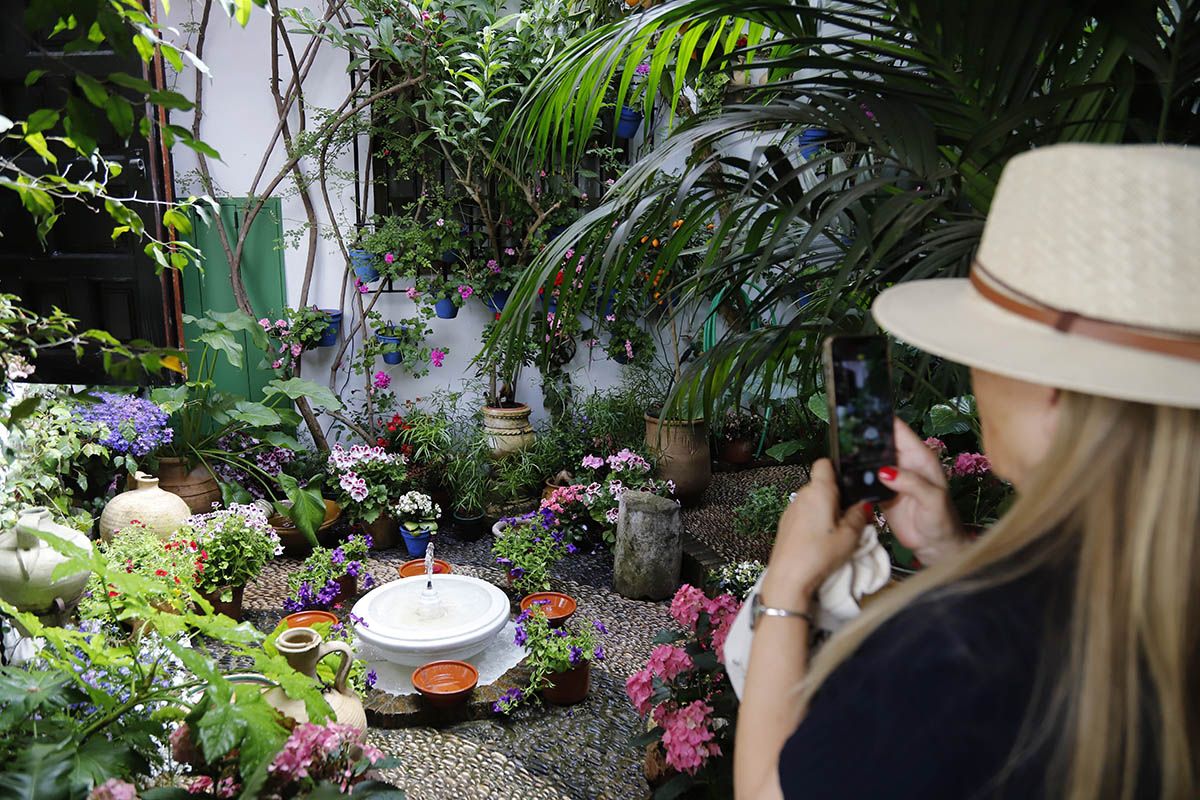Muchos visitantes en el último día de patios
