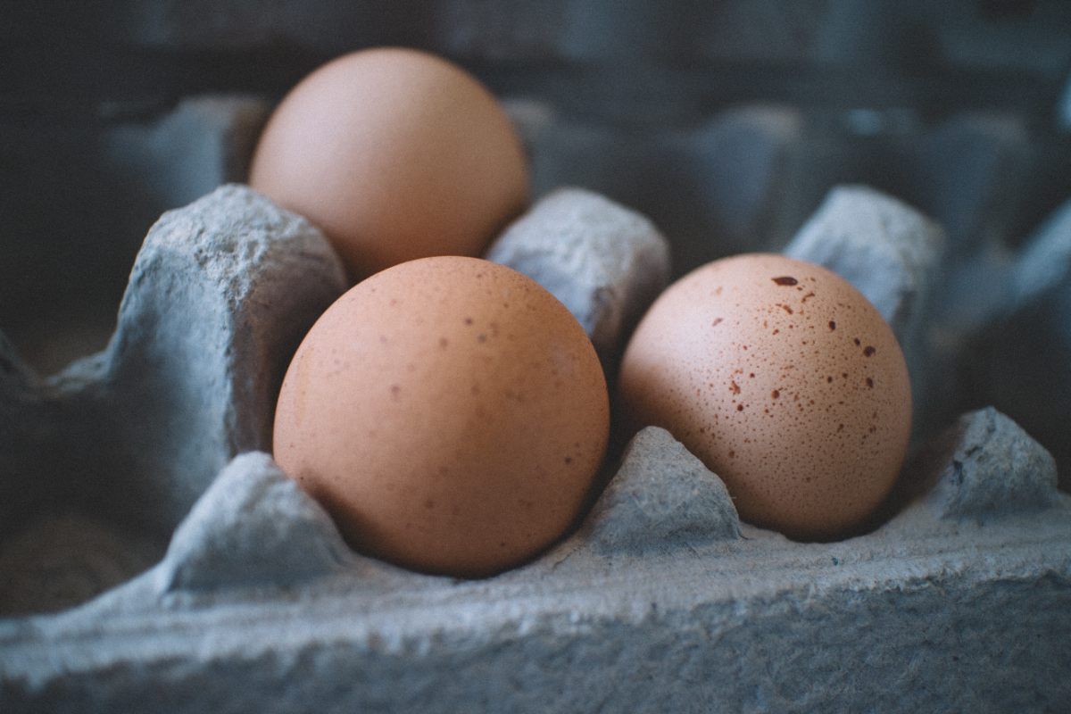 La razón para no guardar los huevos en la puerta del frigorífico