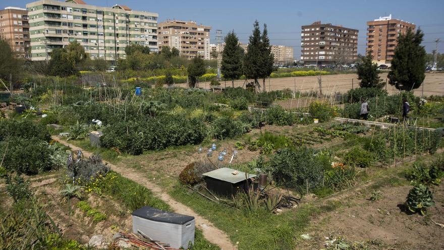 Una vivienda de protección pública en el futuro PAI de Benimaclet costará 200.000 euros