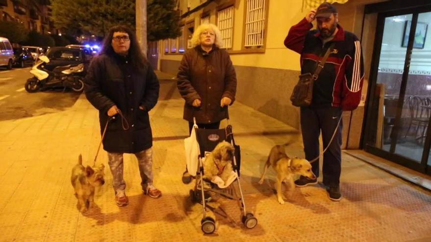Cincuenta y seis perros en un piso de solo 70 metros cuadrados en Alicante