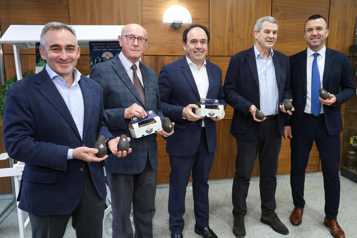 Presentación de la nueva marca de calidad del aguacate de la Comunitat.