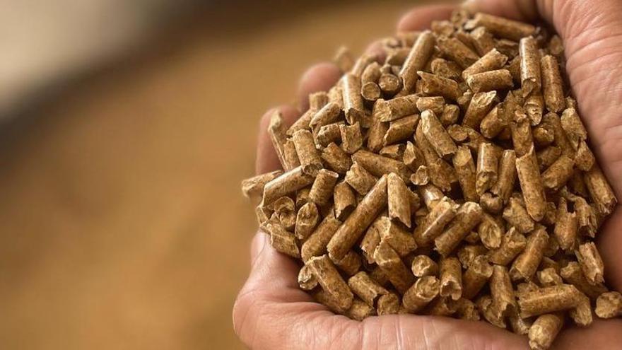 Hablan los comerciantes de pellets de Cáceres: &quot;Si los de madera caen al agua, se hundirían sin daños&quot;