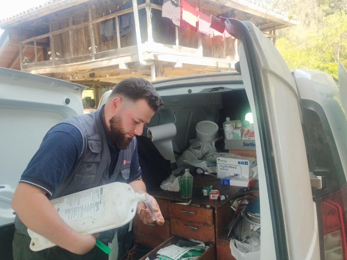 Juan Ramón Ríos prepara un medicamento para una vaca.