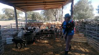 El arte del pastoreo se aprende en Zamora