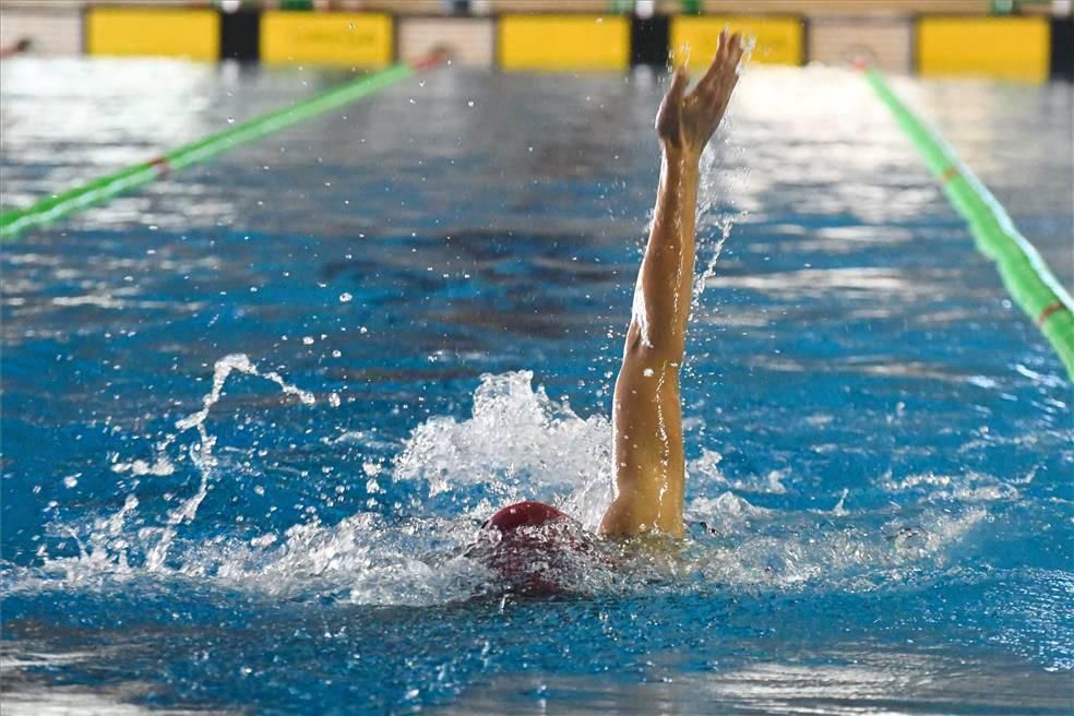 Trofeo Ciudad de Zaragoza de natación