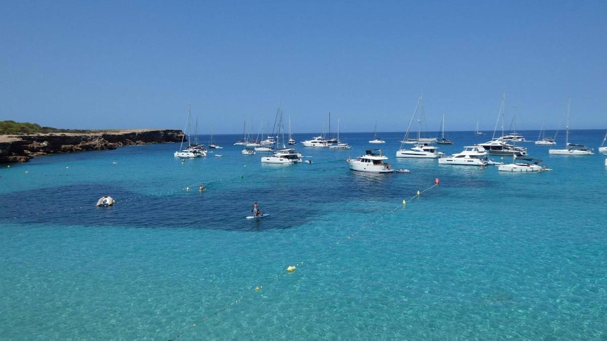 Balizado en Cala Saona, una de las primeras playas donde se instalan estos elementos de seguridad