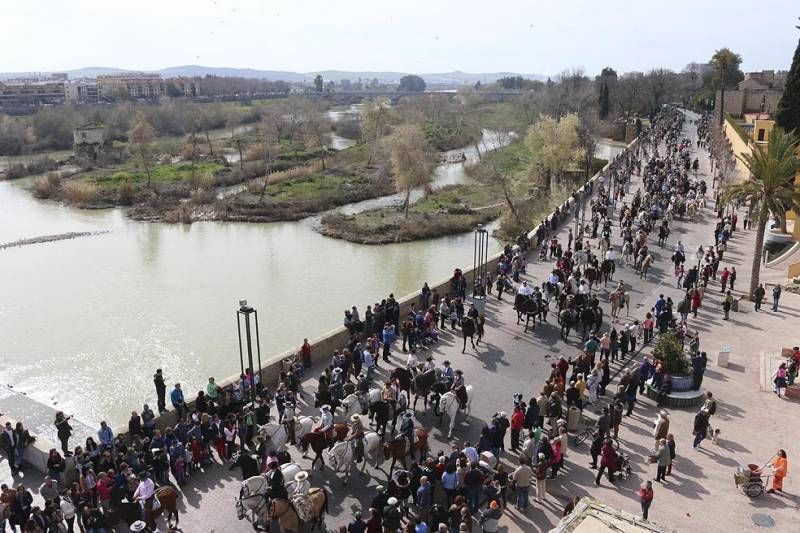 Marcha ecuestre del día de Andalucía en Córdoba