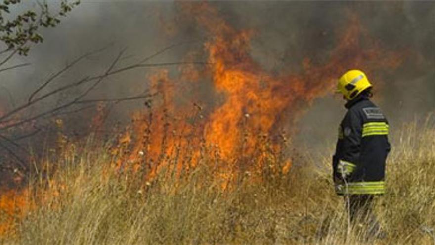 Un incendio de pastos pone en peligro un chalet en la avenida de Elvas