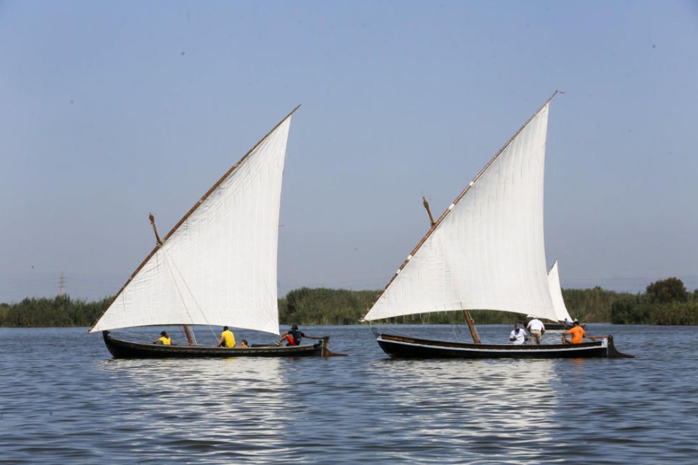 Regata-exhibición de vela latina en l'Albufera