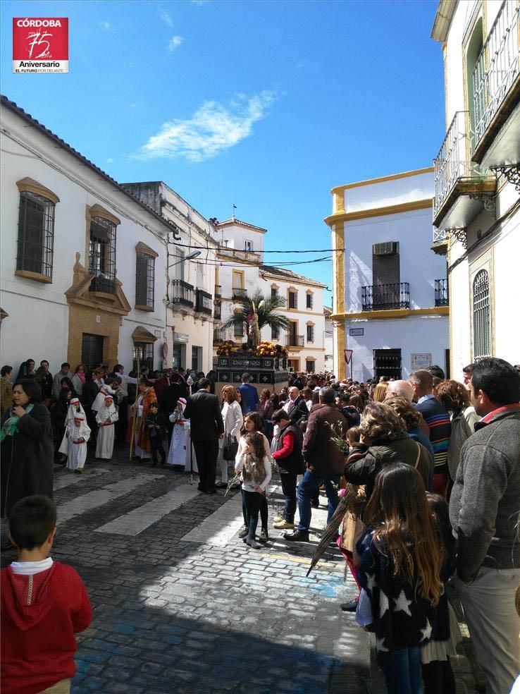 FOTOGALERÍA / El Domingo de Ramos en la provincia