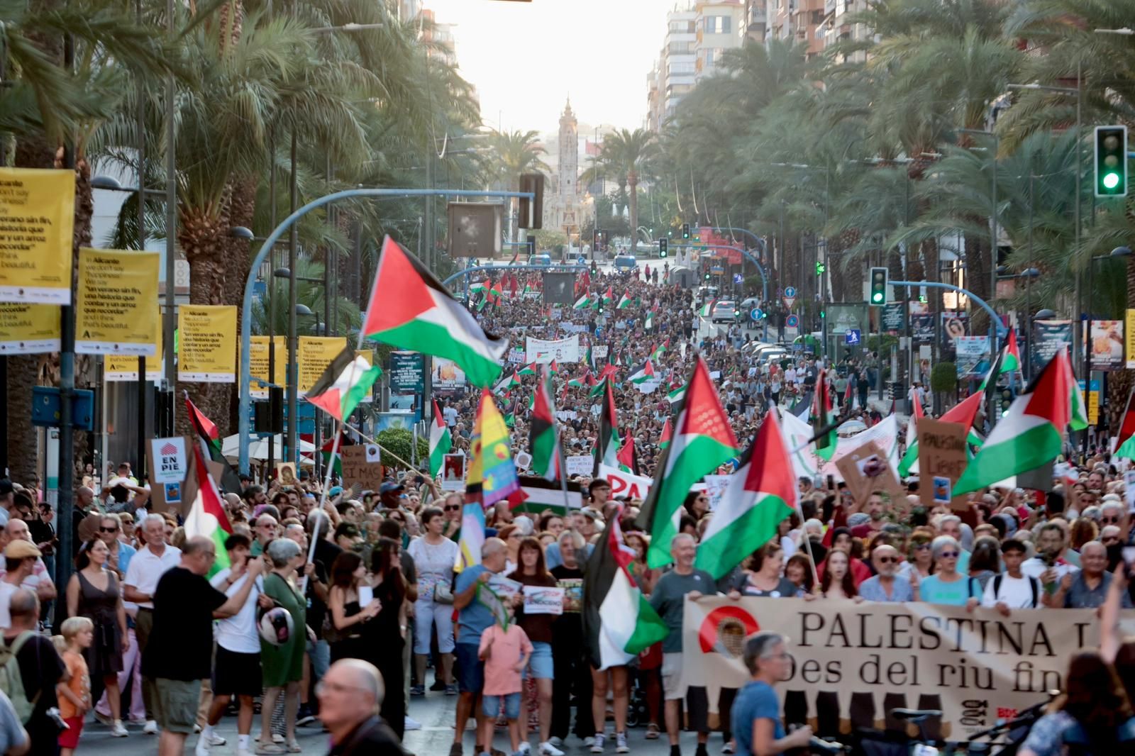 Más de 80 colectivos de Alicante se manifiestan a favor de Palestina