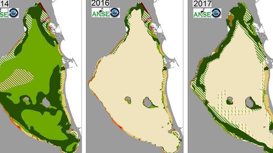 Mapas de la evolución de las praderas marinas del Mar Menor entre 2014 y 2017.