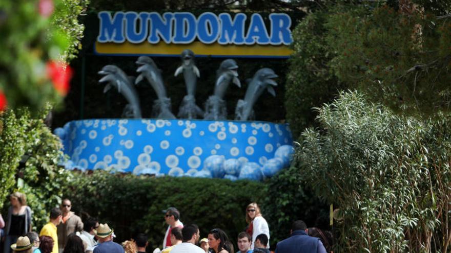 Mundomar estrena un espectáculo pionero esta temporada