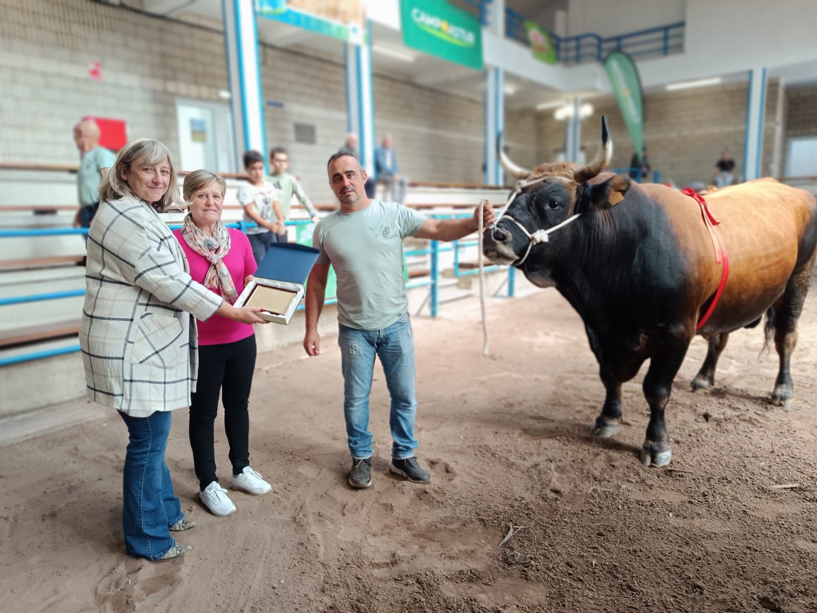 En imágenes: los premiados en la Muestra ganadera local de Cangas del Narcea
