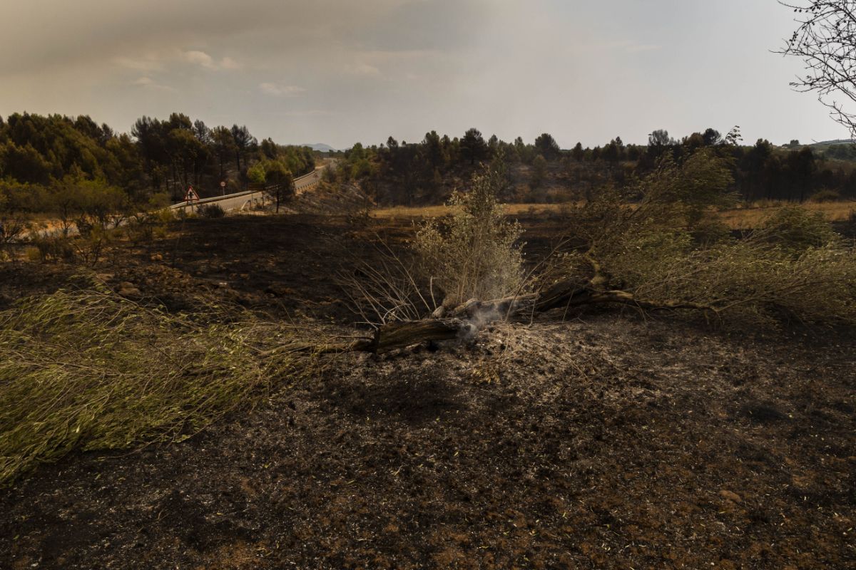 El incendio de Bejís, en imágenes