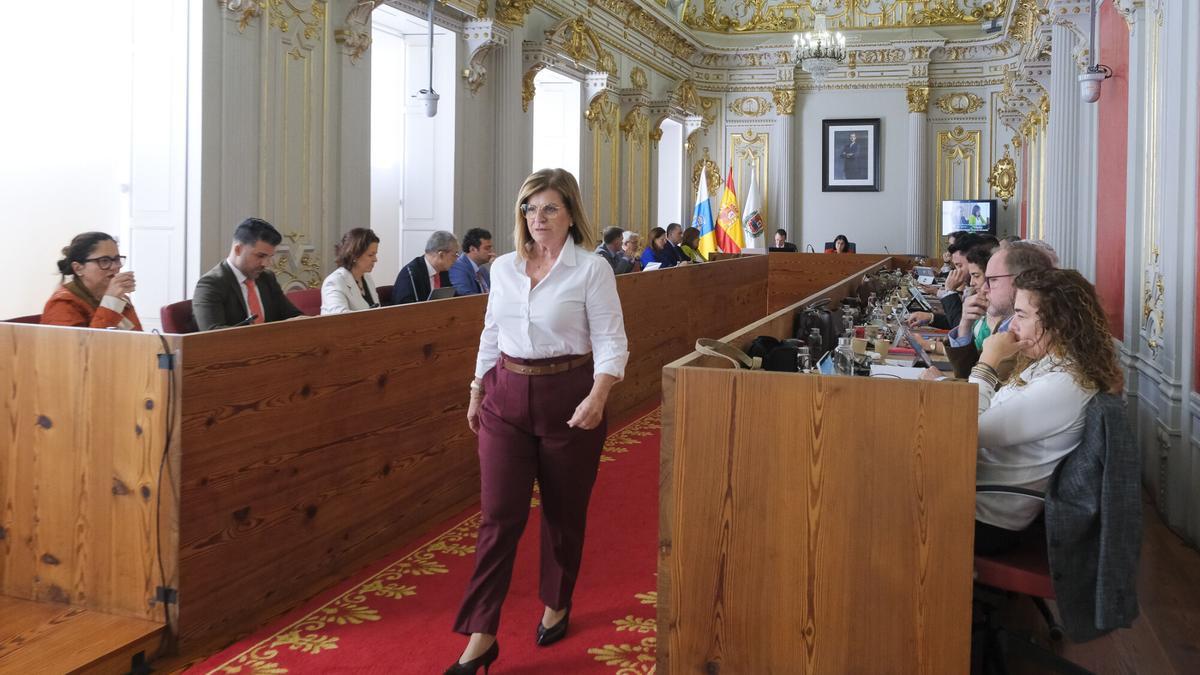 Último pleno municipal de Inmaculada Medina.