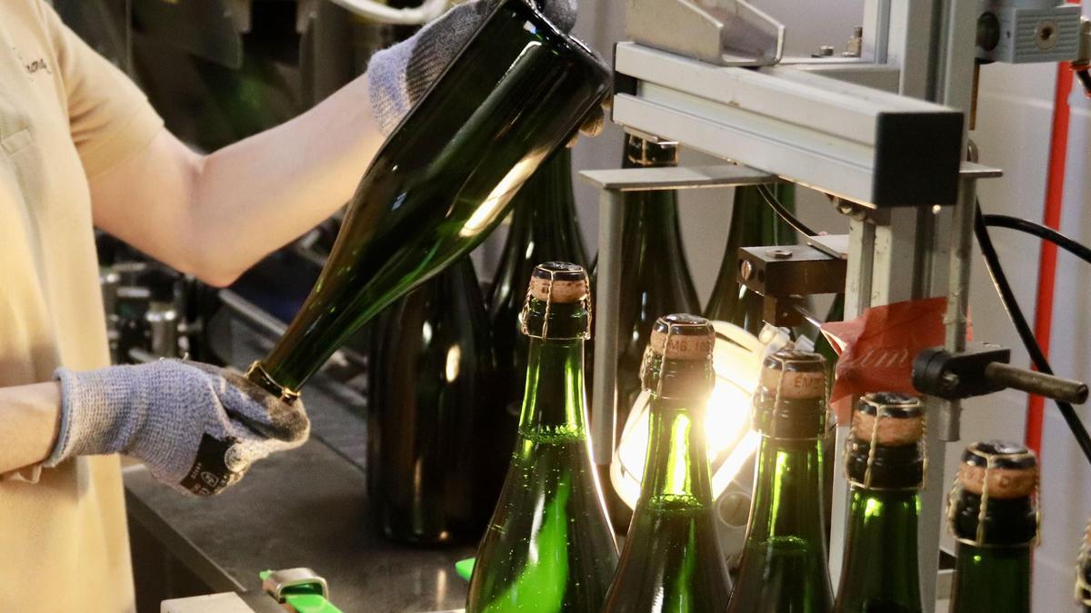 Supervisan una botella de Corpinnat antes de ser etiquetada