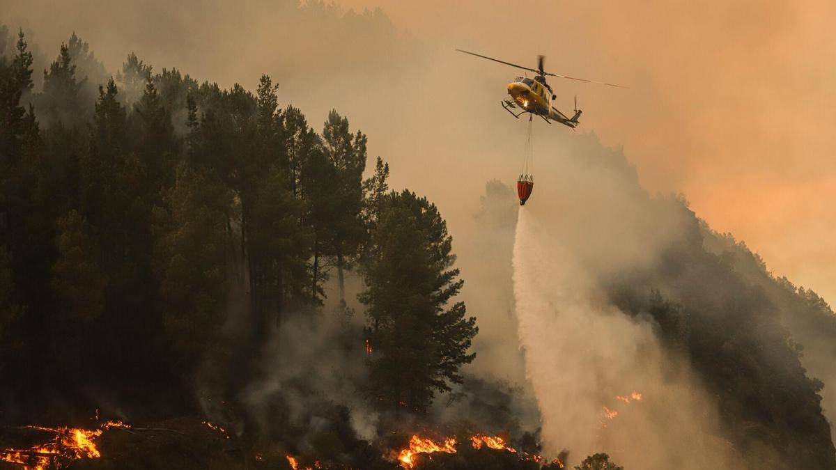 Estabilizado el incendio forestal de Padrenda que afecta a unas 20 hectáreas