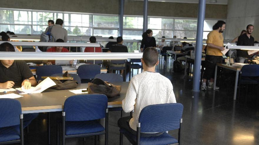 Alumnos estudian en el Campus de Tafira.