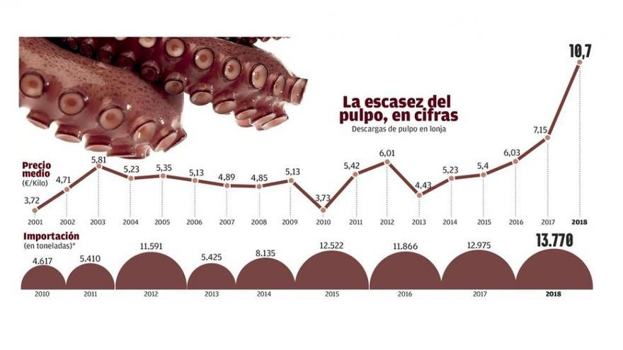 El precio del pulpo gallego bate otro récord con EEUU como primer cliente no europeo