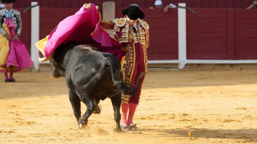 David de Miranda da un pase al astado en la corrida celebrada el pasado año en Toro