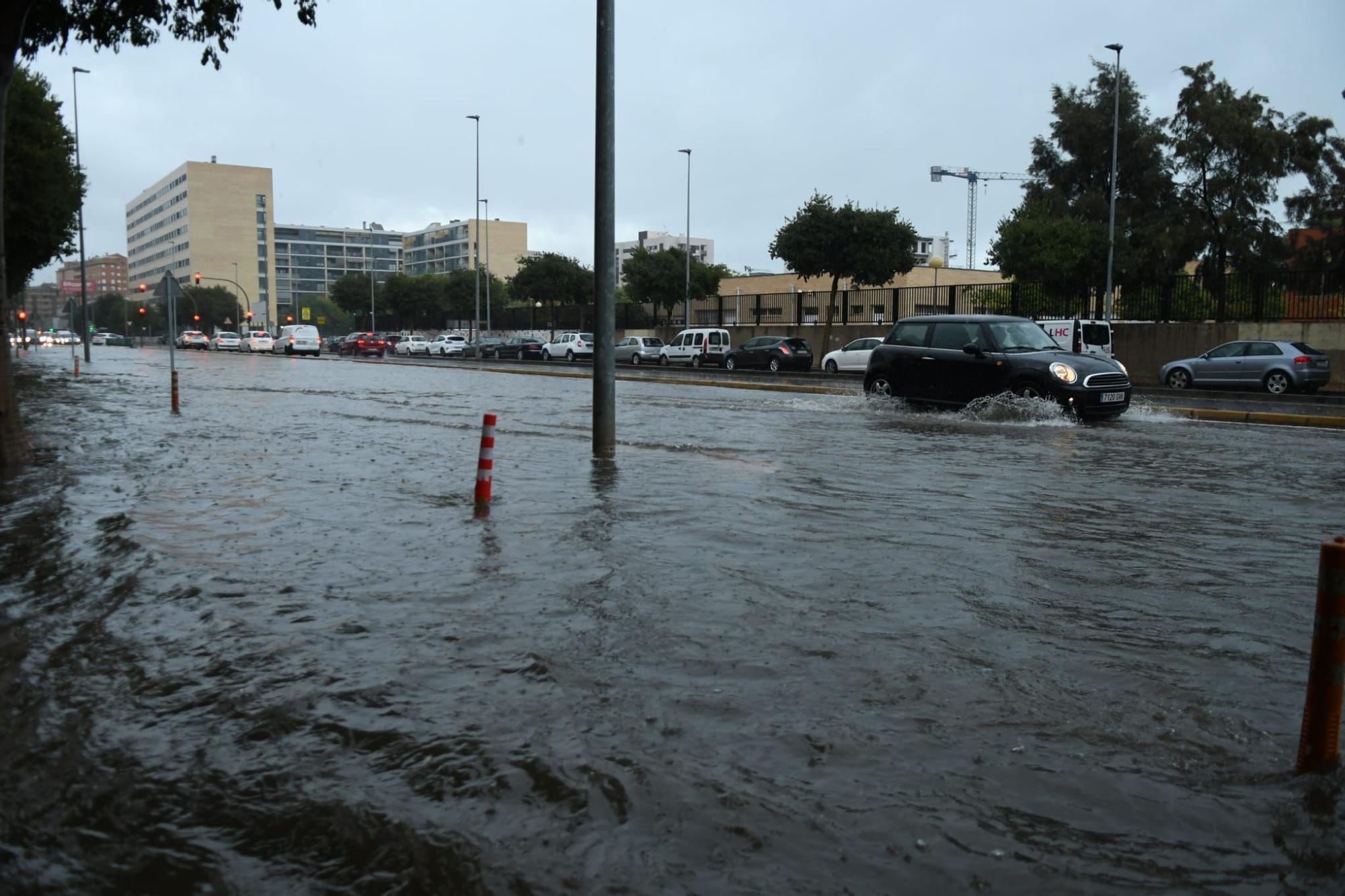 Galería: Los efectos del temporal en los municipios de Castellón