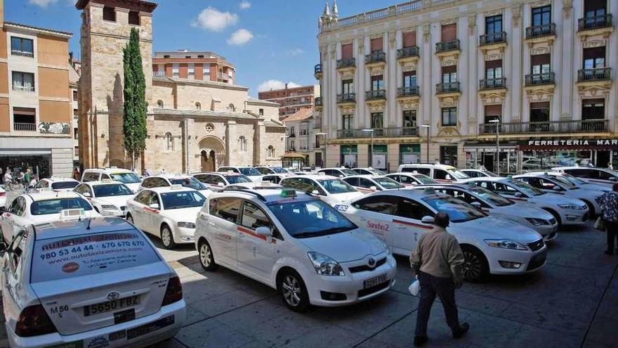 Los taxistas de Zamora tomaron ayer la plaza de la Constitución.