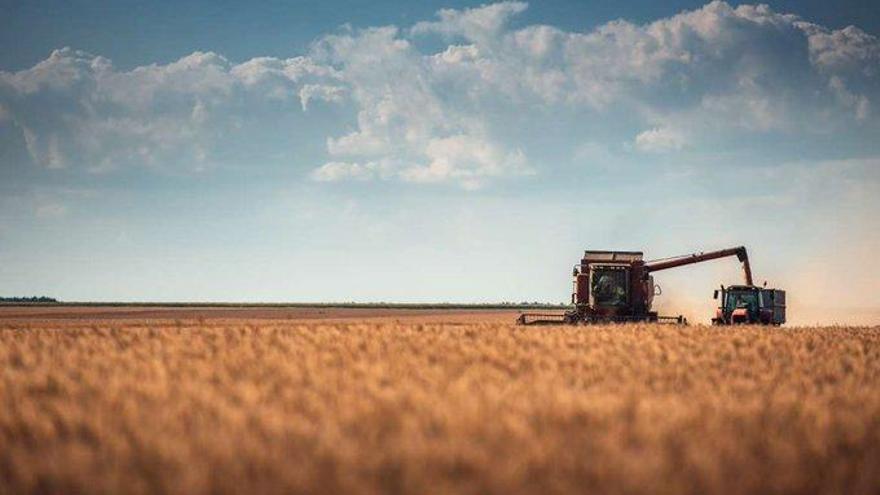 La rotación de cultivos se rebaja del 50 al 25 % de terreno.