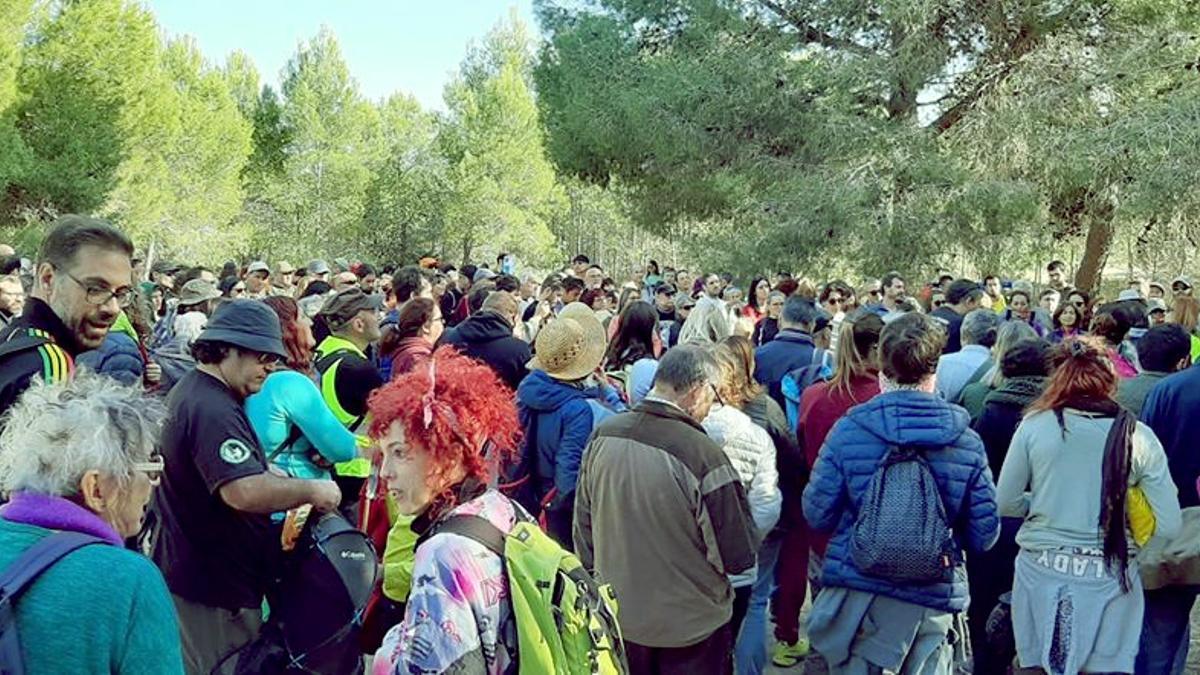 Una imagen de la &quot;bellotada&quot; organizada en Les Moles de Paterna