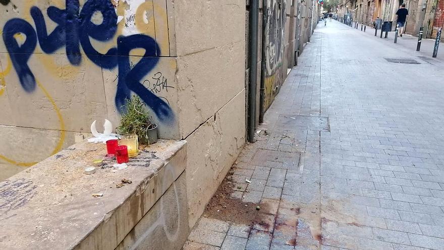 El Ayuntamiento de Barcelona revisó la palmera mortal en marzo y descartó que tuviera una &quot;anomalía evidente&quot;