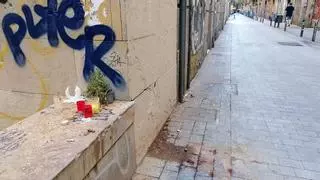 El Ayuntamiento de Barcelona revisó la palmera mortal en marzo y descartó que tuviera una "anomalía evidente"
