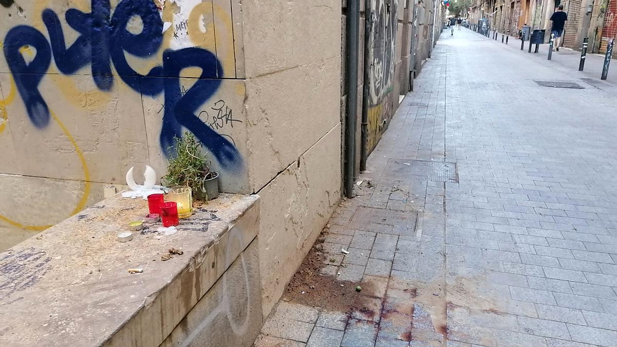 El Ayuntamiento de Barcelona revisó la palmera mortal en marzo y descartó que tuviera una &quot;anomalía evidente&quot;.