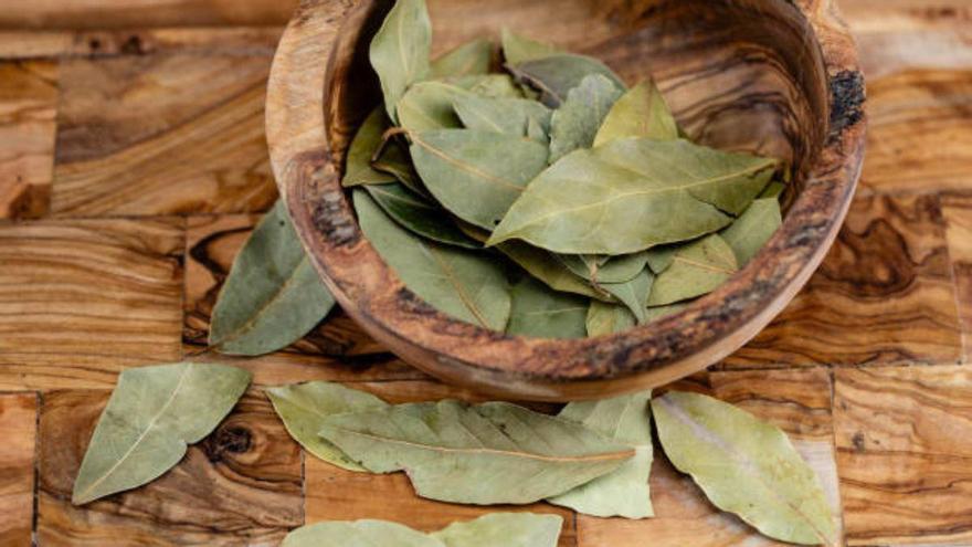 Una hoja de laurel detrás de la puerta: el sencillo truco con el que acabarás con el gran problema del verano