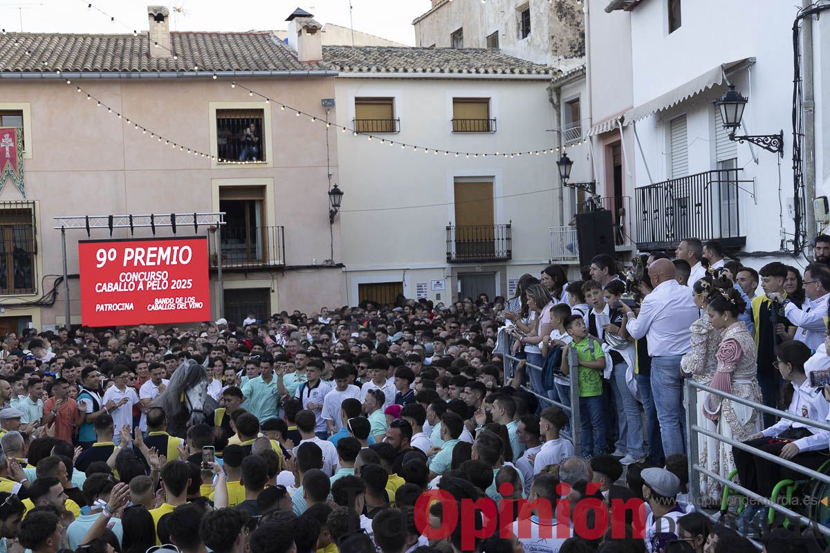 Fiestas de Caravaca | Entrega de premios del concurso morfológico