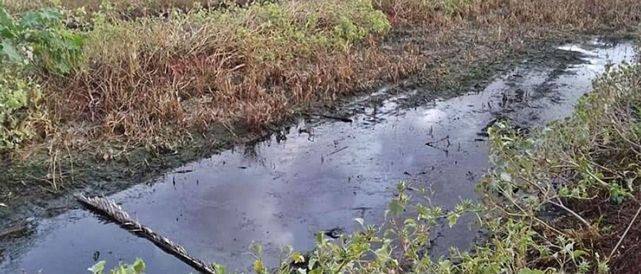 Imagen de archivo de las aguas residuales vertidas por la depuradora de Antigua.  | | LP/DLP