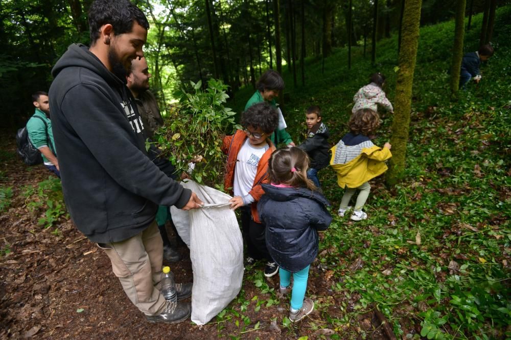 El Jardín Botánico de Lourizán, un pulmón verde