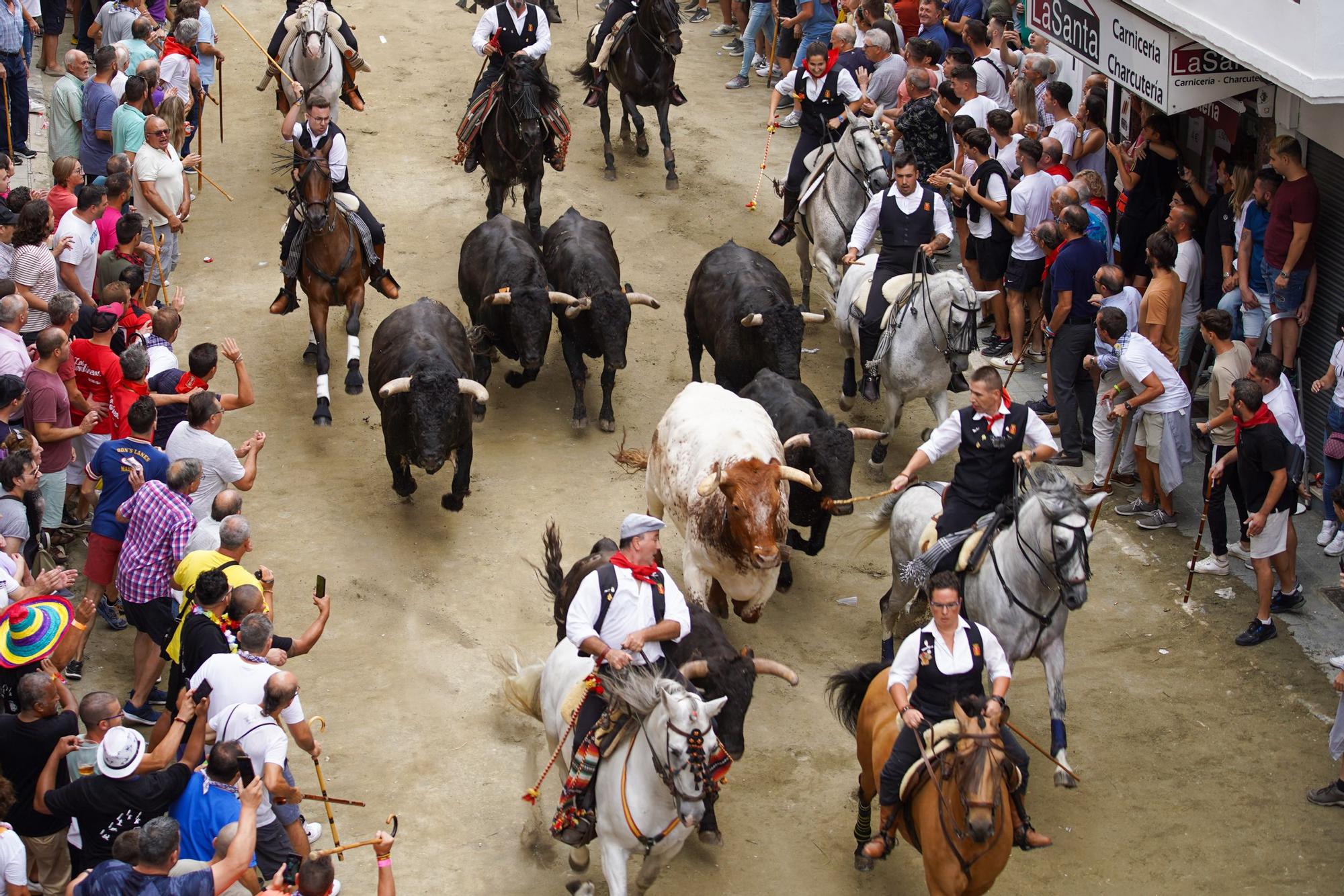 Primera entrada de caballos y toros de Segorbe