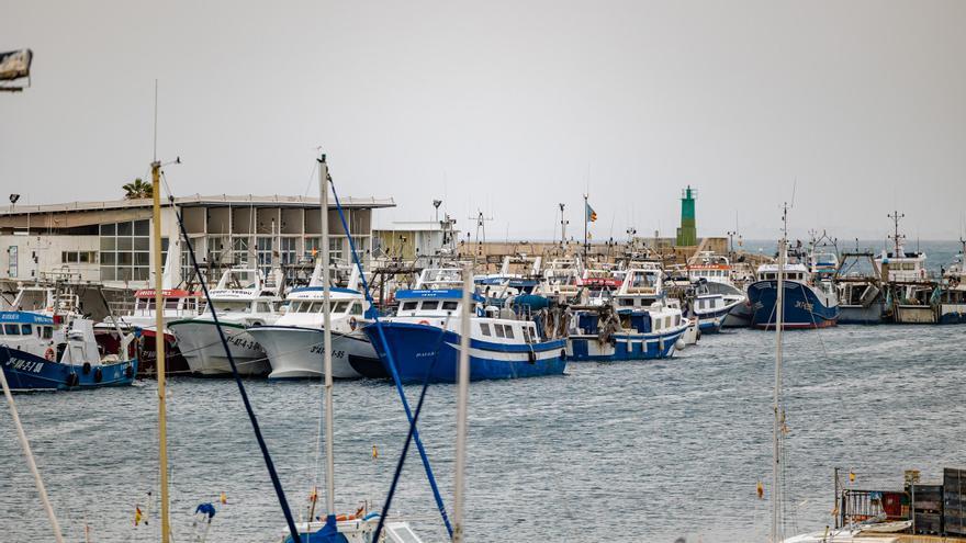 El puerto de La Vila se sube al autoconsumo: placas en la lonja y casetas de pertrecho