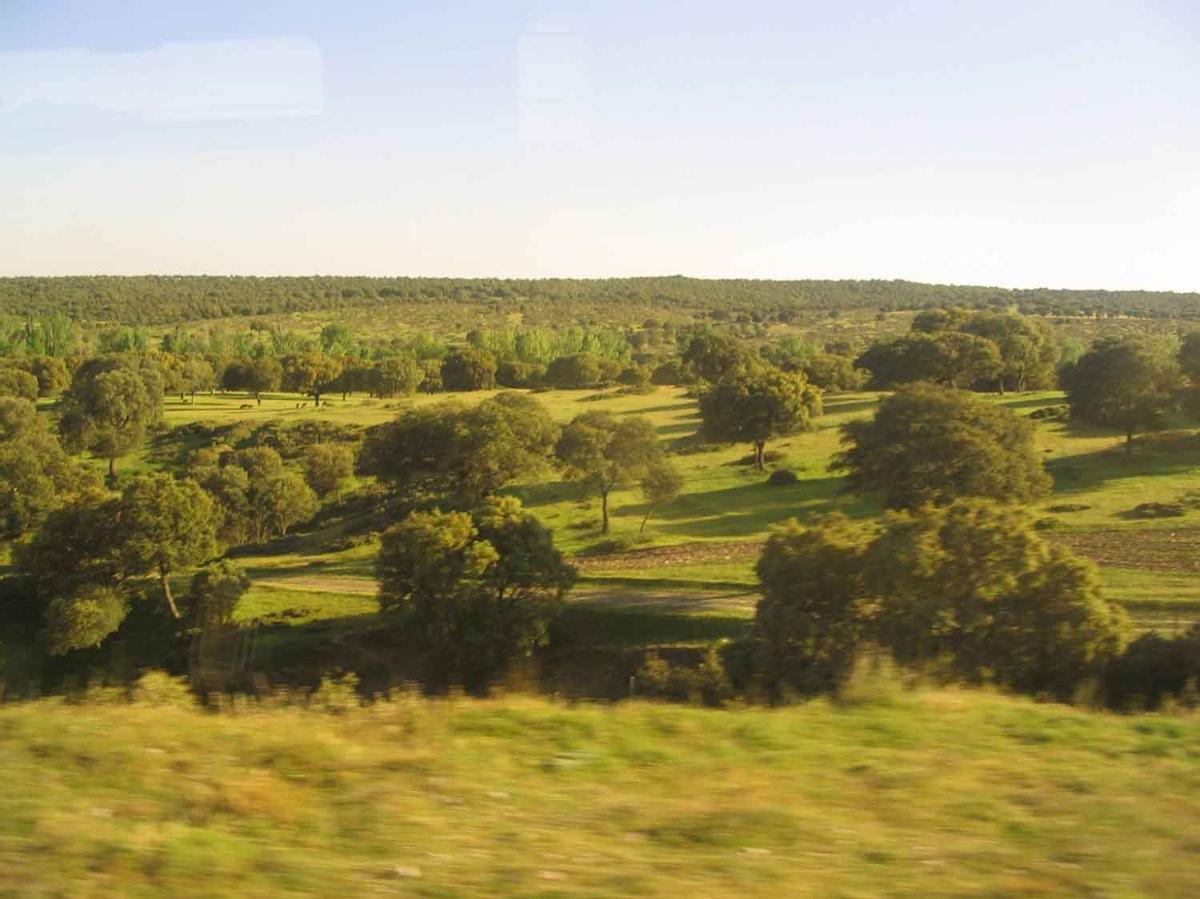 Monte de El Pardo, Madrid