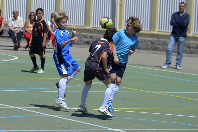 FÚTBOL: Rosa Molas - Pirineos B (Benjamin Superserie)