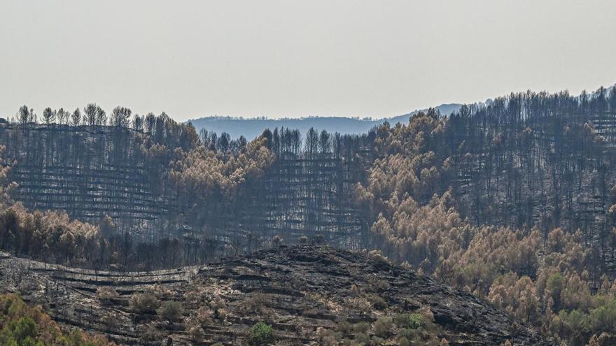 El incendio de la Vall d'Uixó se da por "estabilizado" con 9.568 hectáreas calcinadas