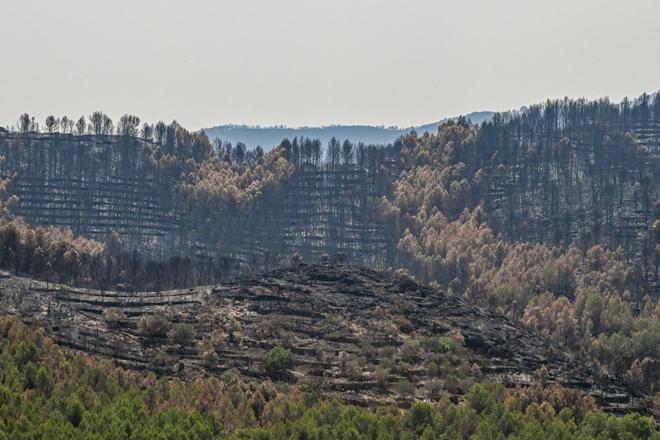 El incendio de la Vall d'Uixó se da por "estabilizado" con 9.568 hectáreas calcinadas