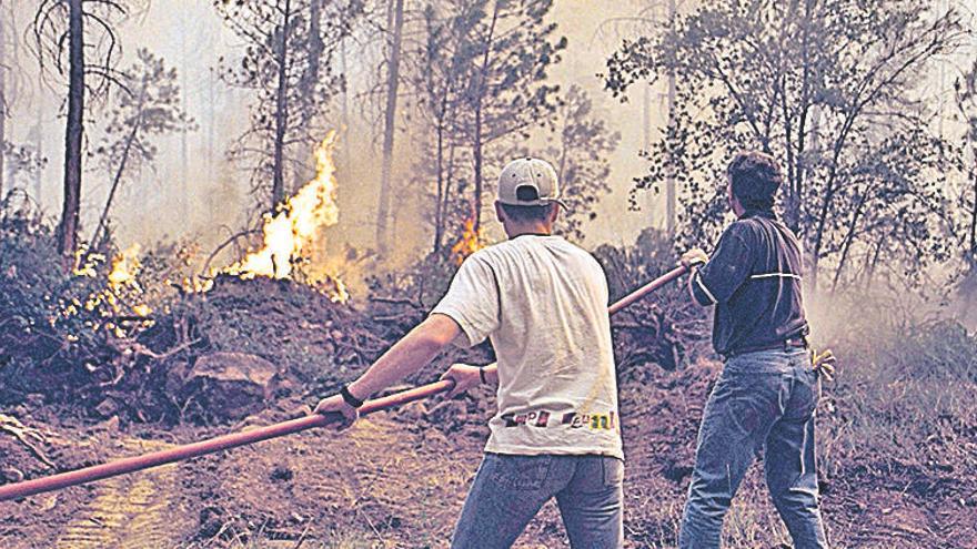 Una imatge del foc del 98 que va arribar al Solsonès.