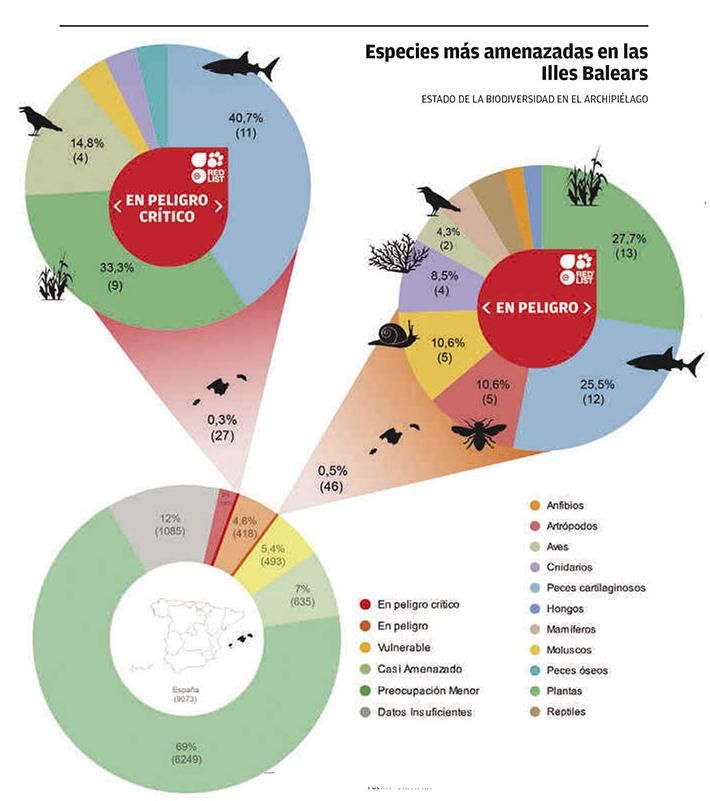 Especies más amenazadas en las Illes Balears