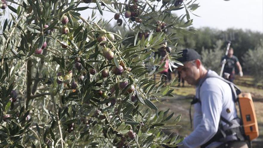 El plazo para las ayudas de la PAC se abre el 1 de febrero