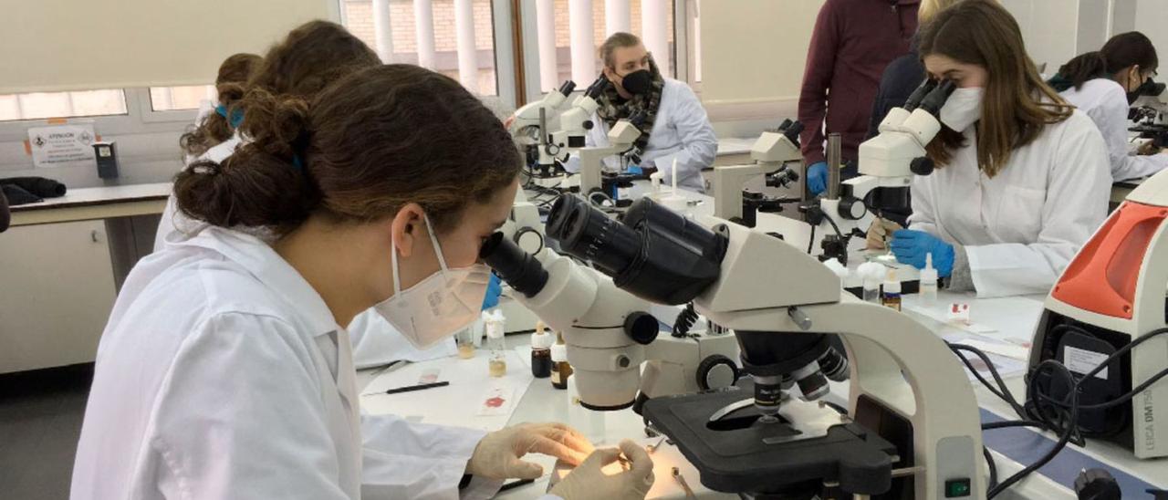 Estudiants d’institut, durant les pràctiques.