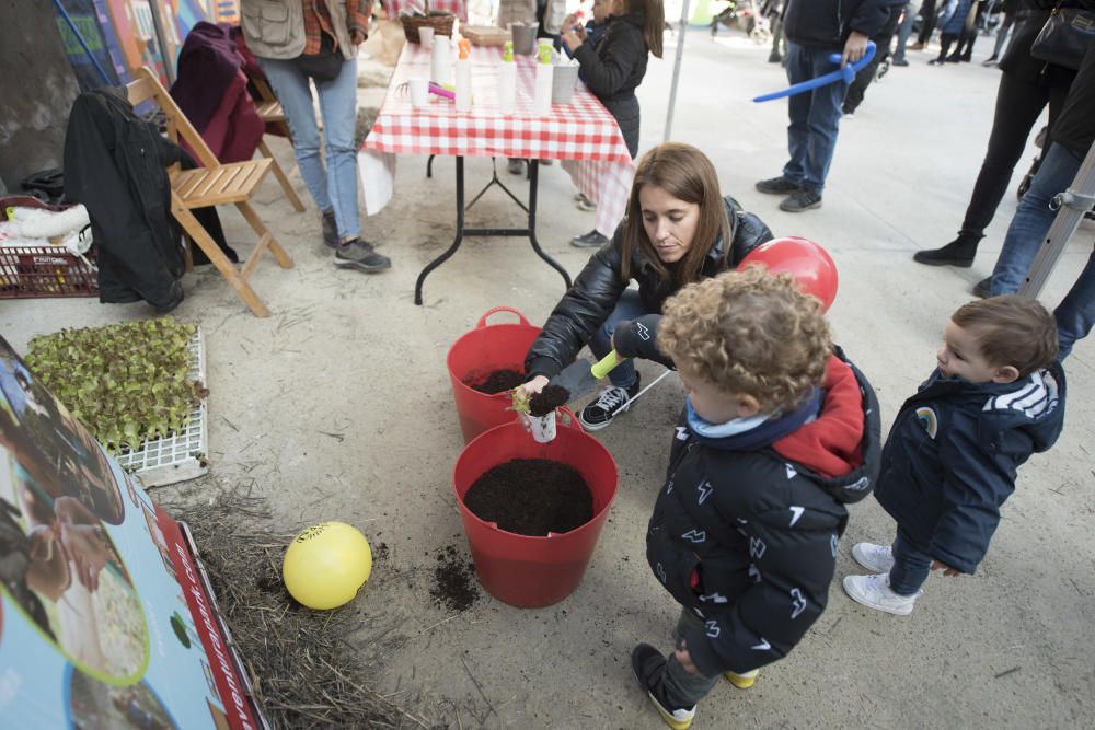 Cinc mares emprenedores organitzen una jornada infantil a l''Anònima