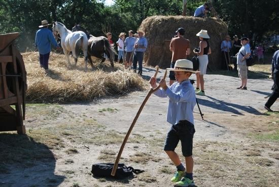 Festa del Segar i el Batre