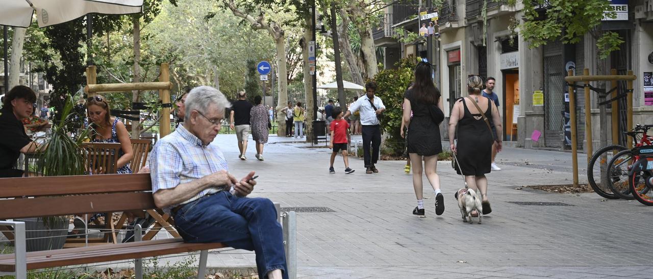 consell de cent