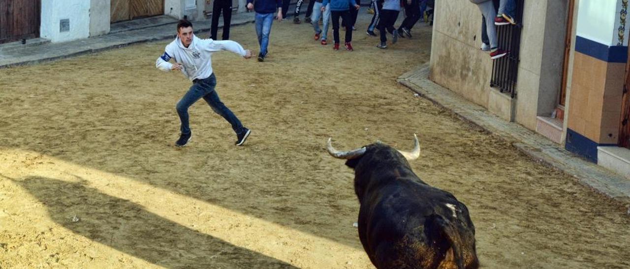 Los &#039;bous al carrer&#039; baten su propio récord